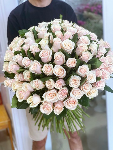 101 Mixed Roses