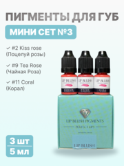 Мини-сет для перманентного макияжа губ LIP BLUSH #3, 3 шт. по 5 мл