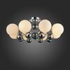 Люстра потолочная ST Luce Forma SL715.102.08