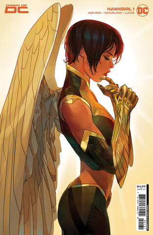 Hawkgirl Vol 2 #1 (Cover C)