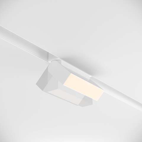 Трековый светильник Maytoni Basis rot TR013-2-10W3K-W