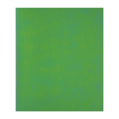 Тетрадь 48л., А5, клетка, Alingar "Green chameleon", скрепка, дизайнерский картон, глиттерное напыление, блок офсет, 100 % белизна