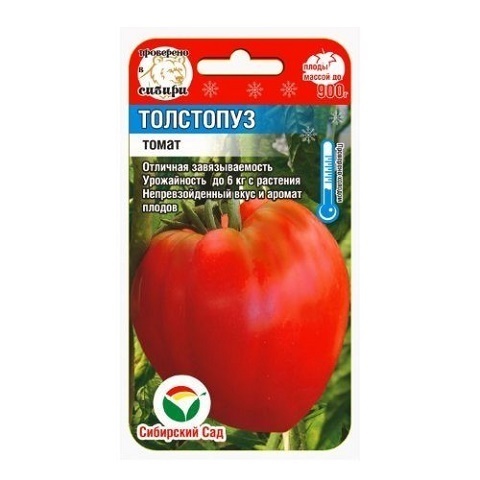 Толстопуз 20шт томат (Сиб сад)