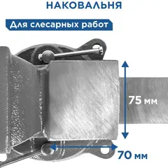 Тиски слесарные поворотные КОБАЛЬТ стальные, ширина губок 100 мм, захват 100 мм, 7 кг, наковальня, коробка (248-962)