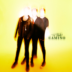 The Band Camino / The Band Camino (LP)