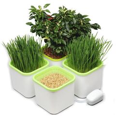 Проращиватель Здоровья Клад белый (4-х модульный)