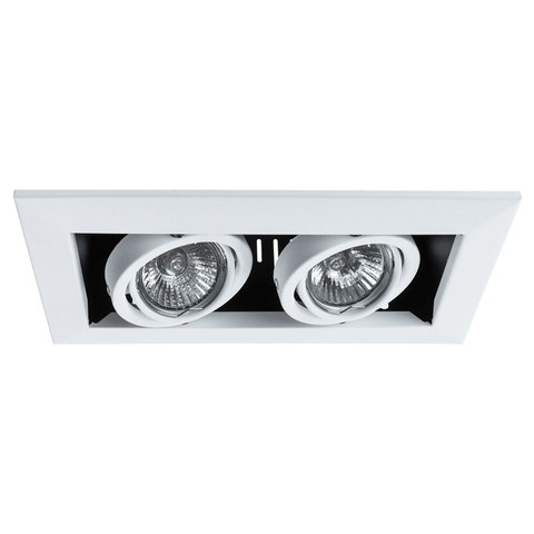 Светильник встраиваемый поворотный Arte Lamp Cardani piccolo A5941PL-2WH