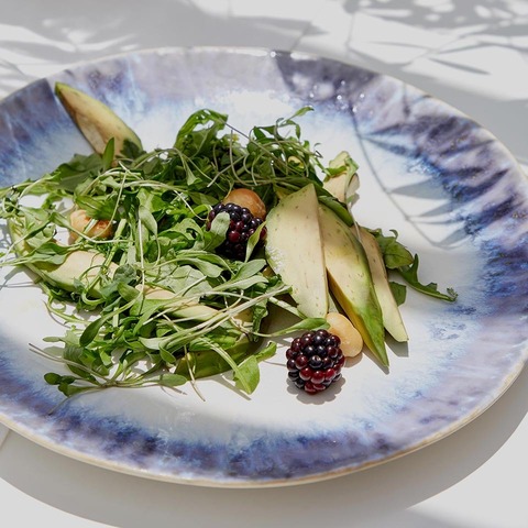 Тарелка 24.3см Costa Nova goa241-00918v