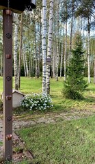 Дождевая цепь «Бронзовая чаша и круглая корзинка»