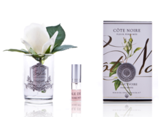 Ароматизированная роза в прозрачной вазе и 1 спрей 13.5х8х8 Cote Noire Rose Bud Ivory