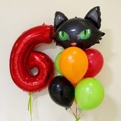 Сет с котом