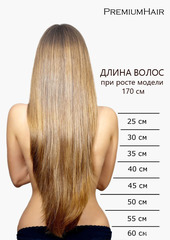 Линейка длины волос