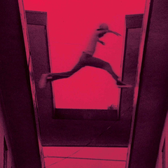 Mos Def / The Ecstatic (RU)(CD)