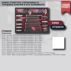 Thorvik UTS28STE Набор отверток и торцевых ключей в EVA ложементе 280х375 мм, 28 предметов 53665