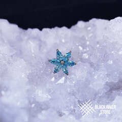 Flower Comet HM Aqua