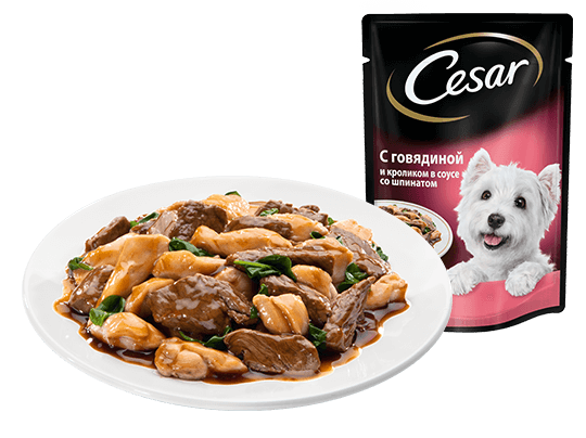 Корм для собак в соусе. Корм Cesar говядина/кролик/шпинат 85г. Корм говядина с овощами Cesar 85г. Корм для собак Cesar говядина 100г.