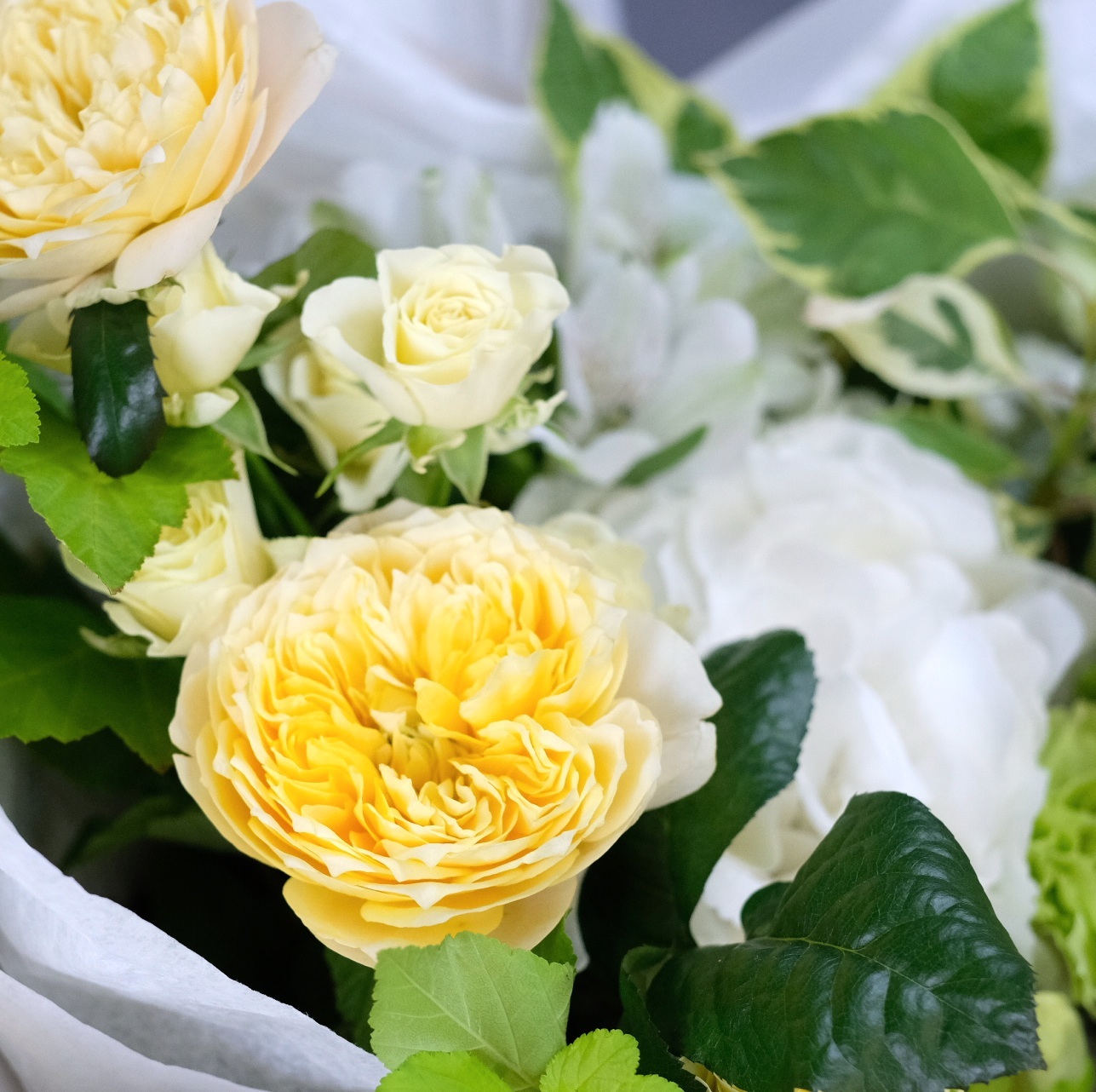 Букет №27 с белой гортензией и пионовидными розами