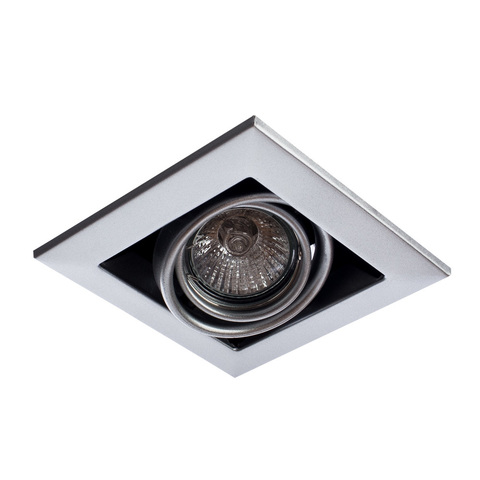 Светильник встраиваемый поворотный Arte Lamp Cardani piccolo A5941PL-1SI