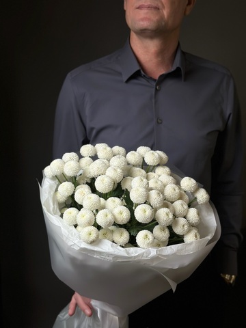 Кустовая хризантема «Ньютон» (белая)