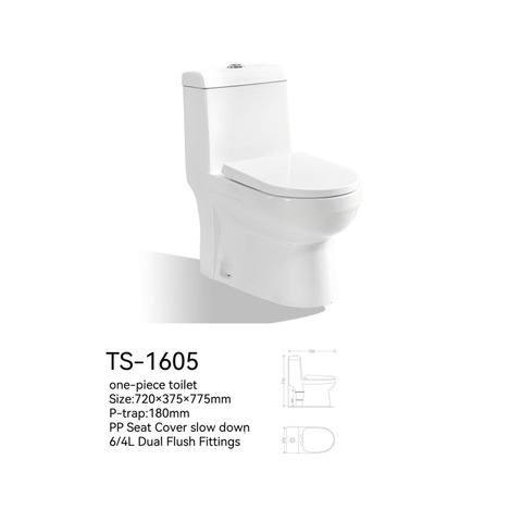 Унитаз монолитный SANITECO TS-1605 белый 720x375x775