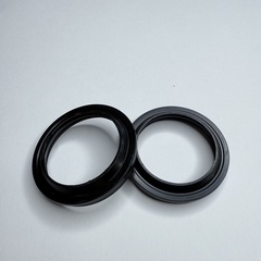 Пыльники NOK, 48*61*13