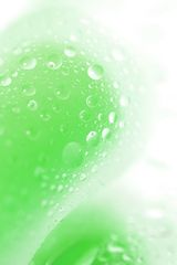 Зеленая, светящаяся в темноте анальная втулка Mortimer Glow - 12,5 см. - 