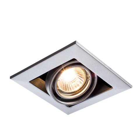 Светильник встраиваемый поворотный Arte Lamp Cardani piccolo A5941PL-1SI