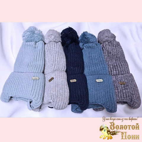 Шапка на хлопке м (3-5) 251019-Ш4092