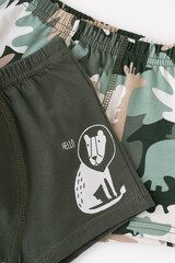 набор трусы/ уп  для мальчика  К 1912-2уп/зеленый хаки,бежевый,камуфляж Ал