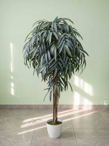 Эвкалипт 150см в кашпо