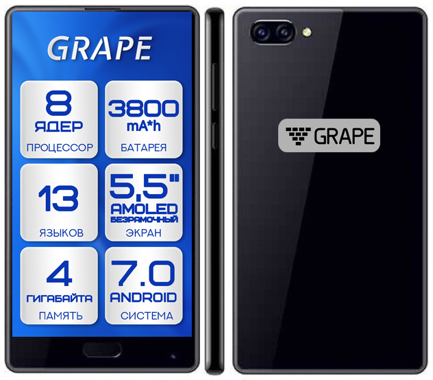 Grape core. Grape core
