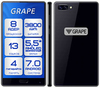 Электронный Голосовой переводчик GRAPE GTM-5.5 v.15s exclusive
