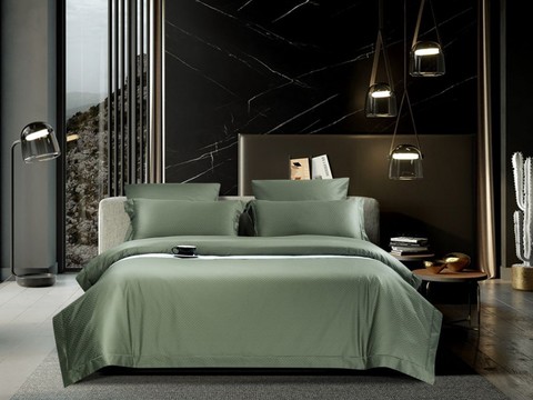 Постельное белье 2 спальное евро Asabella 1646-6