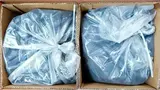 Тонер для картриджей CB435A, CB436A, CE285A, CE278A, CF279A, CF283A, CF283X, CF244A, CRG-712, 713, 725, 726, 737, 728 (кор. 2х10кг) Black&White Premium