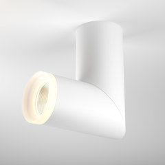 Накладной потолочный светодиодный светильник Elektrostandard DLR036 12W белый матовый