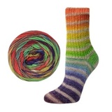 Пряжа Rellana Flotte Socke 4f. Perfect Tropical 1791