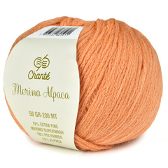 Пряжа Chante Merino Alpaca (5908)
