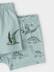набор трусы/ уп  для мальчика  К 1930-2уп/голубой прибой,динозавры