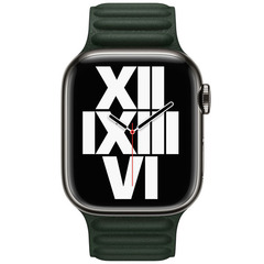 Ремешок Apple 45mm Sequoia Green Leather Link - M/L (ML803ZM/A)