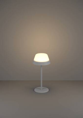 Аккумуляторная настольная лампа Eglo MEGGIANO 900978