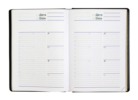 Ежедневник Letts Global Deluxe A5, недатированный, кожа  натуральная, белые страницы, срез позолоченный, синий (22-081404)