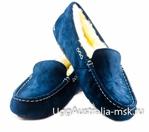 UGG Ascot Dark Blue