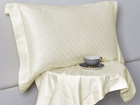 Постельное белье с одеялом 2 спальное евро Asabella Premium 2218-OMP