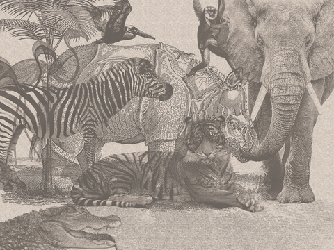 Коллекция ZENITH