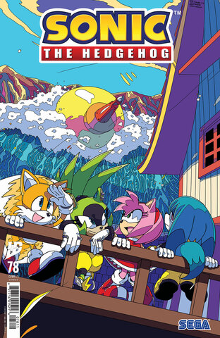 Sonic The Hedgehog Vol 3 #78 (Cover A)