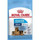 Сухой корм для щенков крупных пород до 2-х месяцев, беременных и кормящих сук Royal Canin Maxi Starter 15 кг.