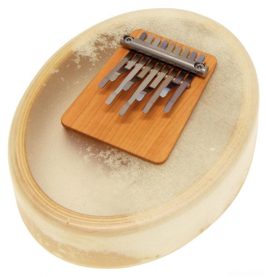 Калимба инструмент. Калимба Gewa 830251. Калимба Gewa Kalimba 830251. Meinl nino963gr калимба. Kmkm-2 Florin калимба, 10 язычков, массив сосны, трапеция, Мозеръ.