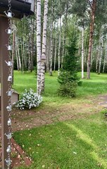 Дождевая цепь 