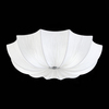 Светильник потолочный ST Luce Fiore SL358.502.05