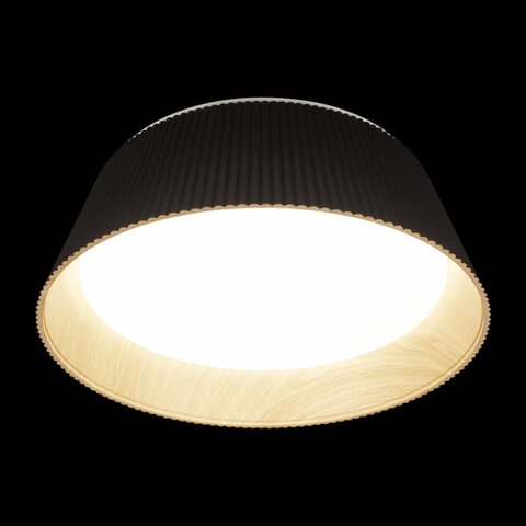 Потолочный светодиодный светильник Loft It Evans 10224 Black